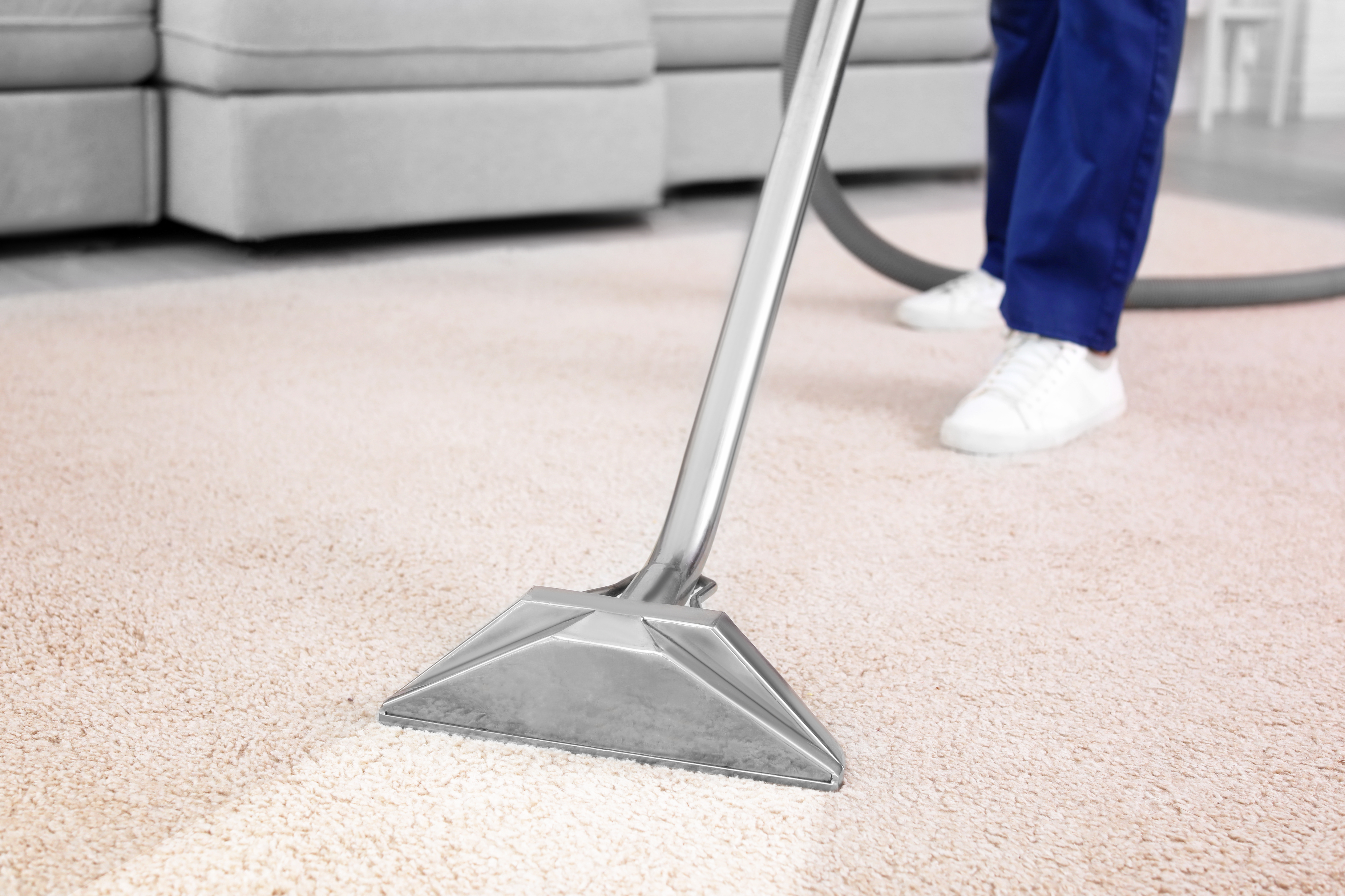 Contact us for carpet cleaning services